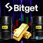 Dogecoin, Shiba Inu, and Pepe Coin Price Prediction If BTC Holds $70k Level